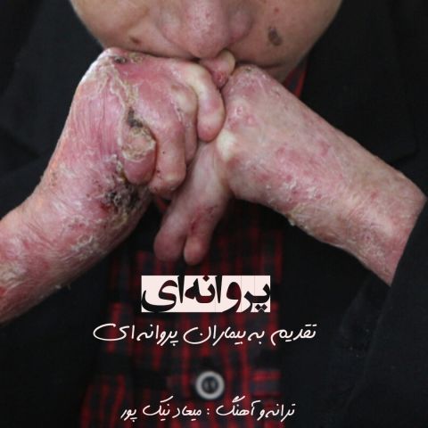 دانلود آهنگ میعاد نیک پور به نام پروانه ای